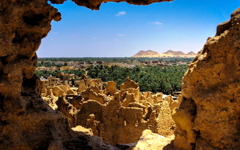 2 Days White Desert and Bahariya Oasis Tour